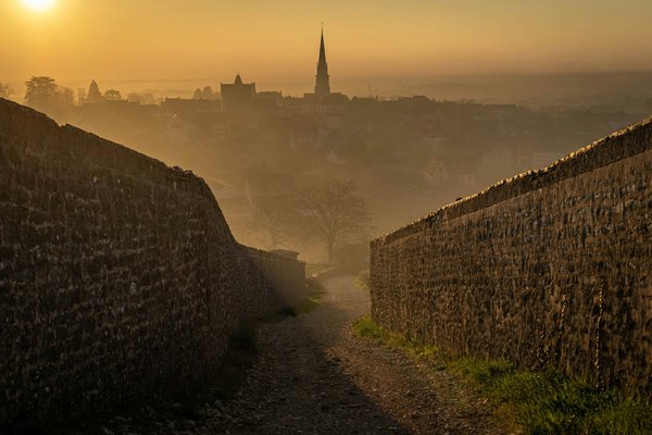 Producteur de vins de la vallée du rhône : découvrez domaine martin