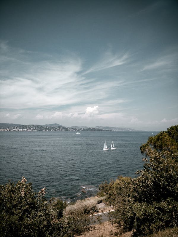 Découvrez les meilleures offres de 3d tender à saint-tropez